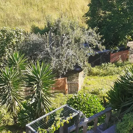 Casa Martinez Πανσιόν