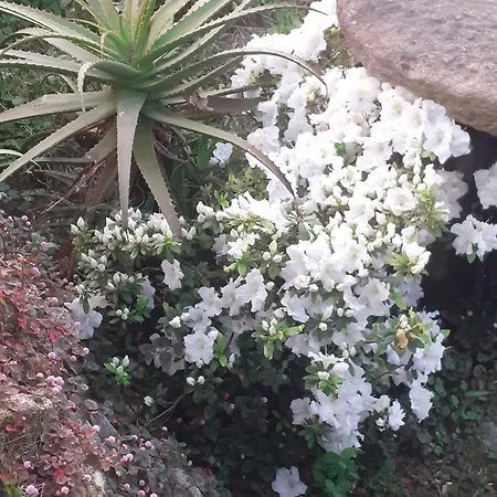 Casa Martinez Πανσιόν Bueu