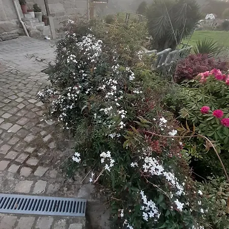 Vendégház Casa Martinez 3*