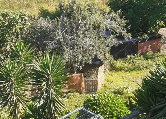 Casa Martinez Πανσιόν