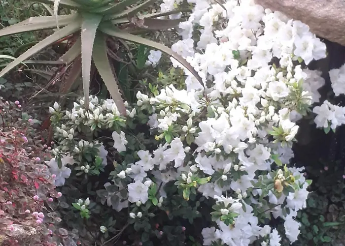 Casa Martinez Penzion Bueu