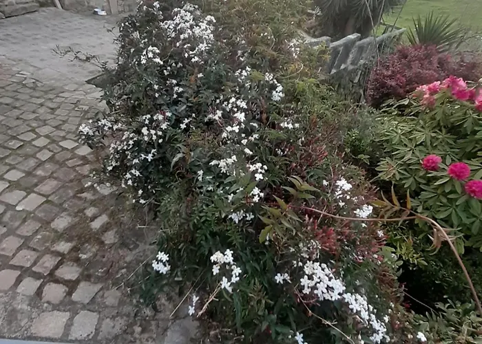 Πανσιόν Casa Martinez 3*